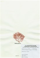 藏品(浪花藻)的圖片